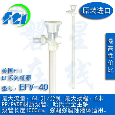 美国FTI插桶泵EFV-40小流量无泄漏PVDF聚偏氯乙烯泵管