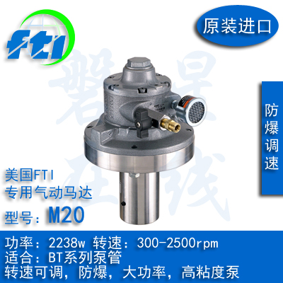 美国进口FTI插桶泵BT系列用气动马达M20